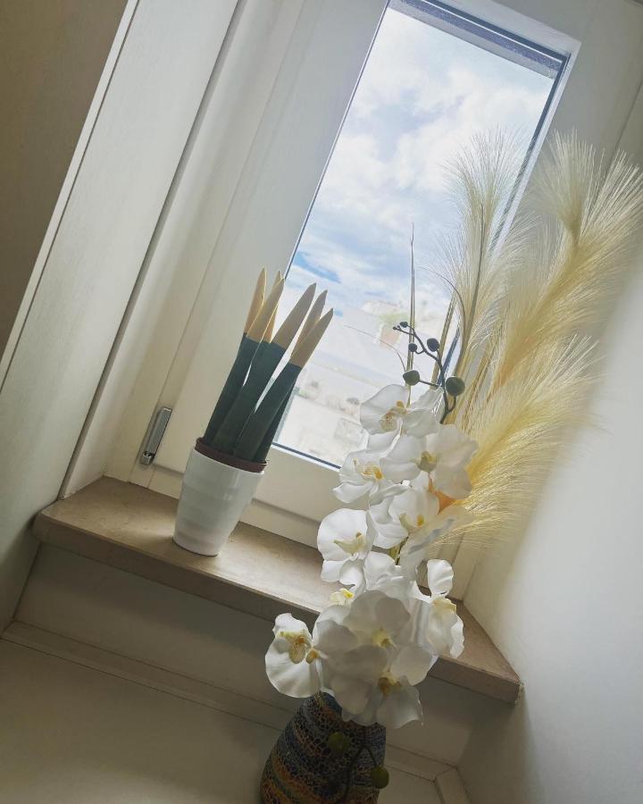 Mary VI Rooms بيسْكيتْشّي المظهر الخارجي الصورة